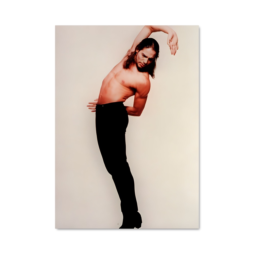 Poster Pasión de Danza